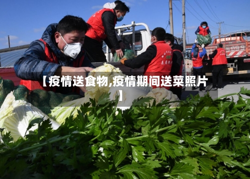 【疫情送食物,疫情期间送菜照片】-第3张图片