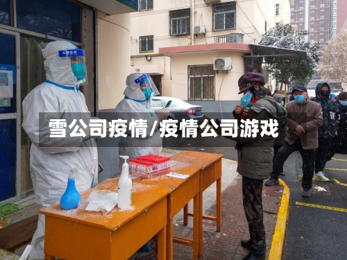 雪公司疫情/疫情公司游戏-第3张图片